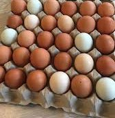 Ägg på flak